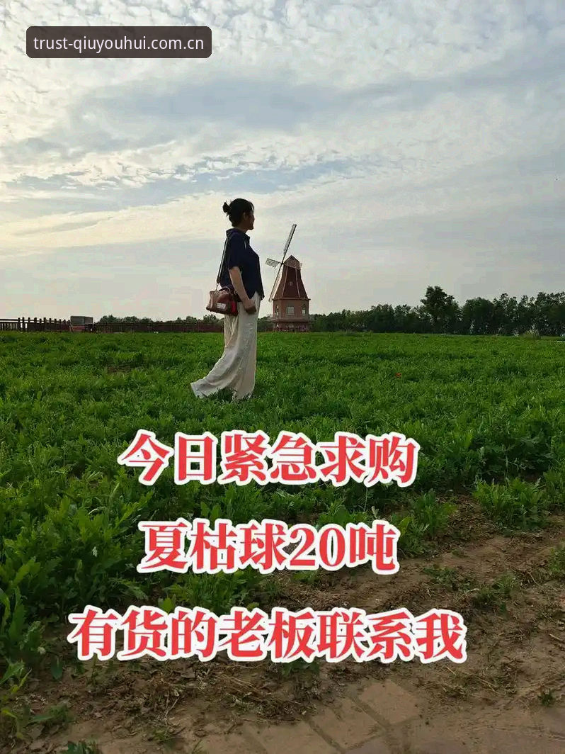 球友会提现多久到账必备 球友会提现到账时间详解与必备指南